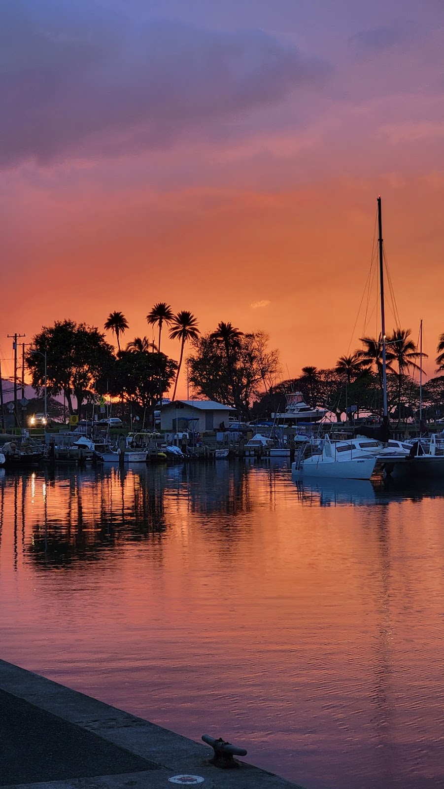 North Shore Catamaran Charters | 66-105 Haleiwa Rd, Haleiwa, HI 96712, USA | Phone: (808) 351-9371