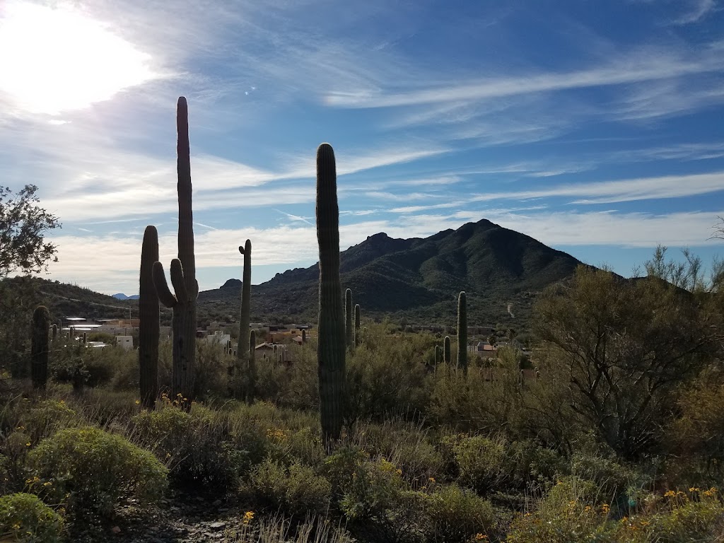 Caroline Bartol Preserve at Saguaro Hill | E Grapevine Rd, Cave Creek, AZ 85331, USA | Phone: (480) 488-6131