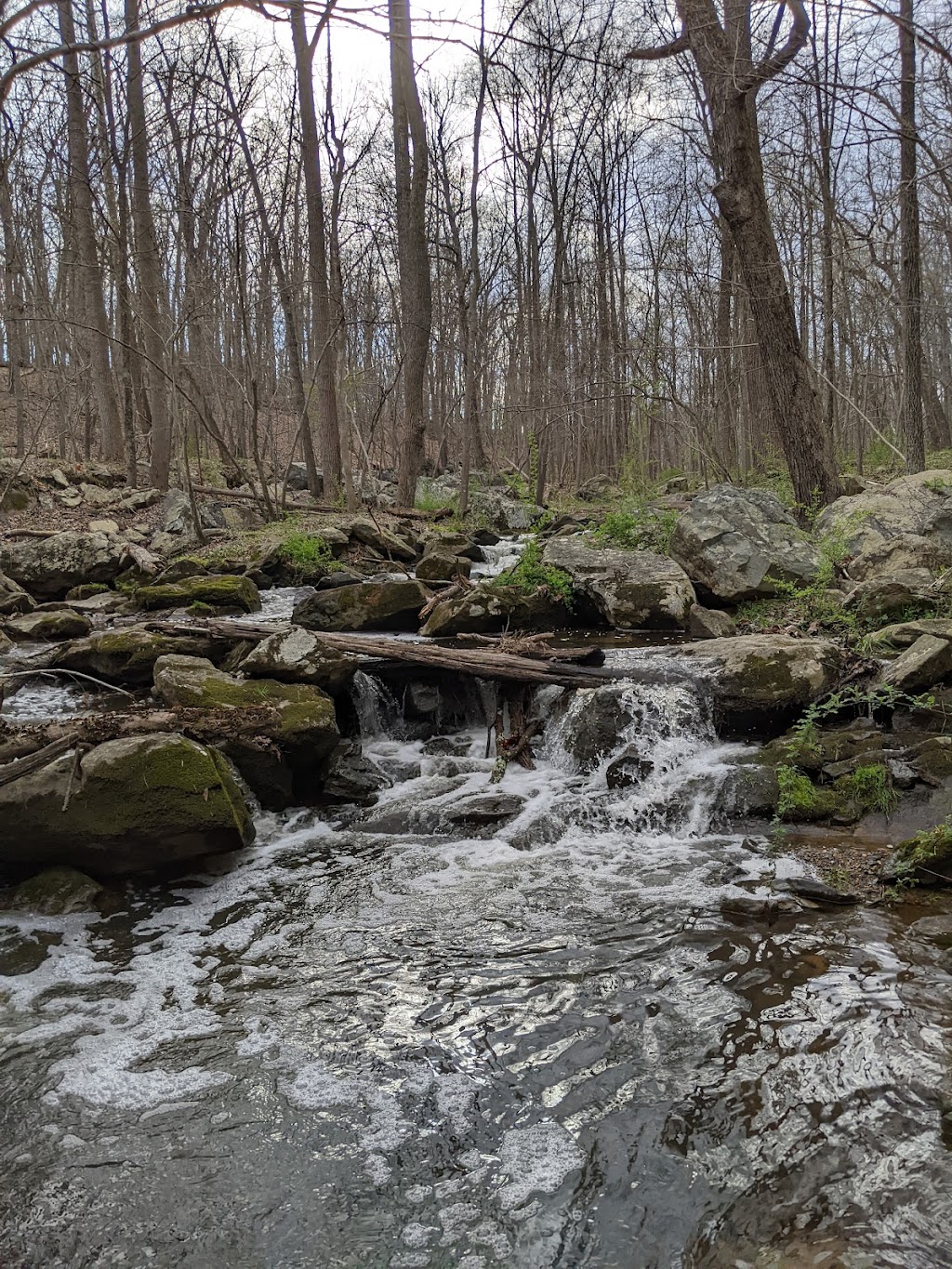 Lake Needwood, Rock Creek Regional Park | 15700 Needwood Lake Cir, Derwood, MD 20855, USA | Phone: (301) 495-2595