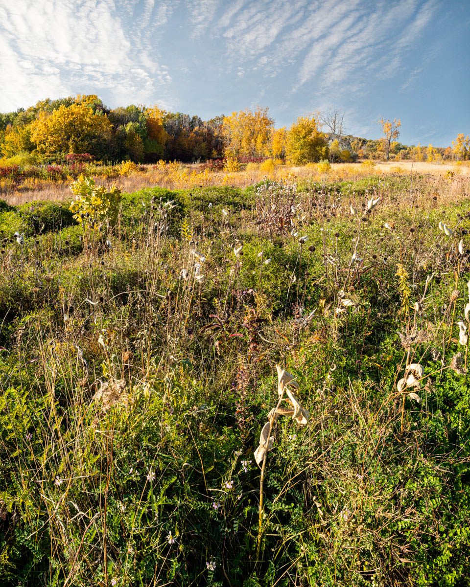 Nojoshing Trail | Nojoshing Trail, St Francis, WI 53235, USA | Phone: (414) 481-2300