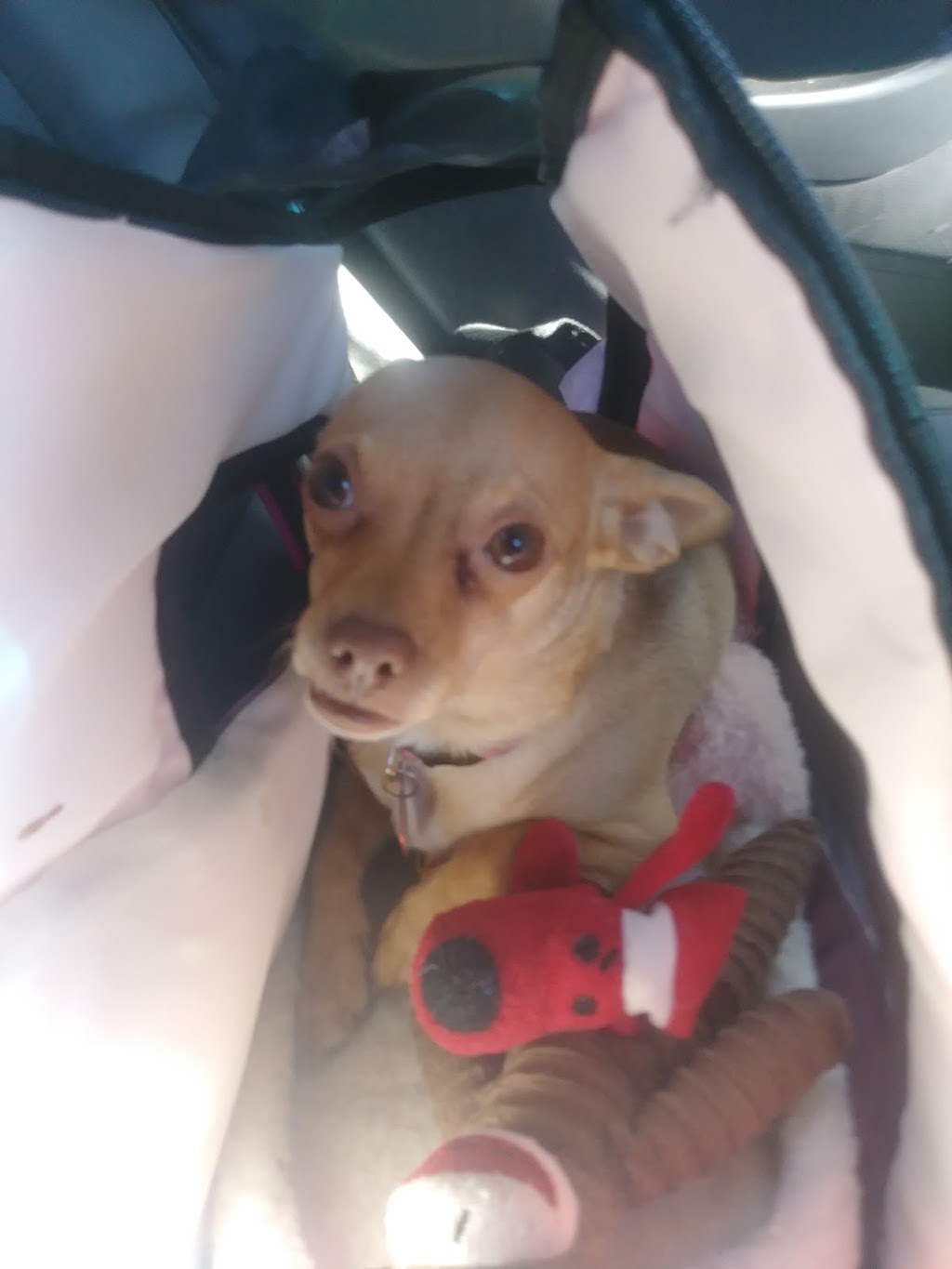 Royal Motors | 2236 Hoots Rd, Yadkinville, NC 27055, USA | Phone: (336) 468-6106