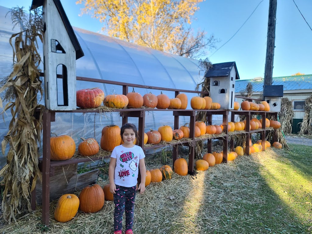 Bill & Gerry Kydds Farm Market | 3573 Saunders Settlement Rd, Sanborn, NY 14132, USA | Phone: (716) 731-5003