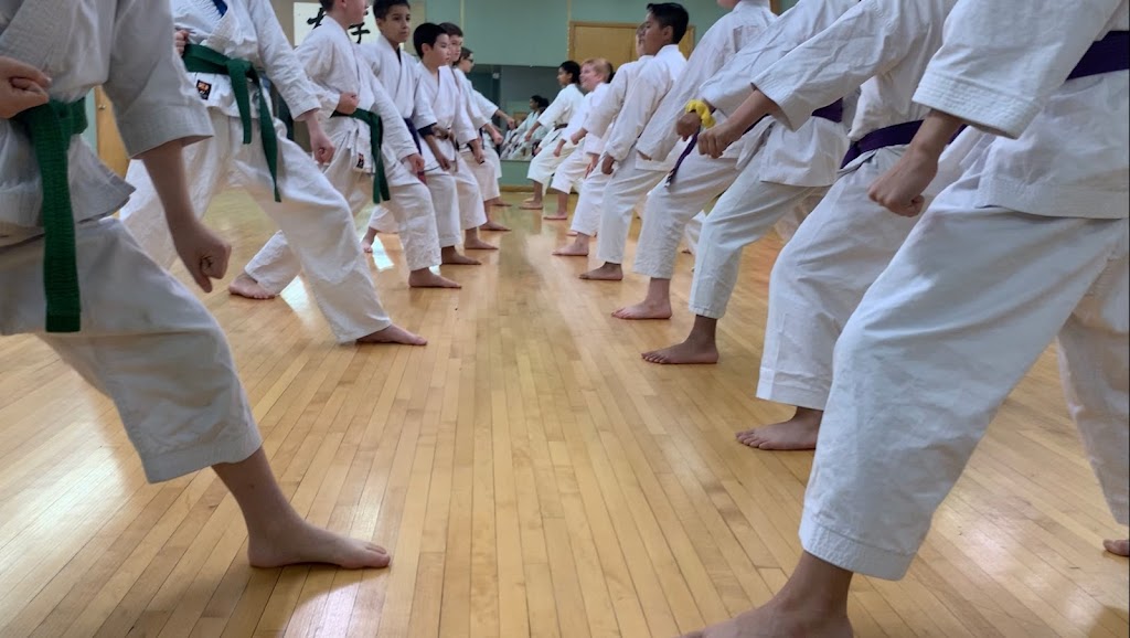 Kitsune Karate | 5600 S 34th Ave, Minneapolis, MN 55417, USA | Phone: (651) 253-2525