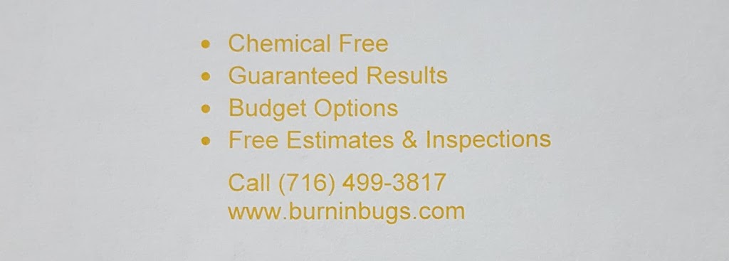 Burnin Bugs | 5616 Stockton-Hartfield Rd, Dewittville, NY 14728, USA | Phone: (716) 499-3817