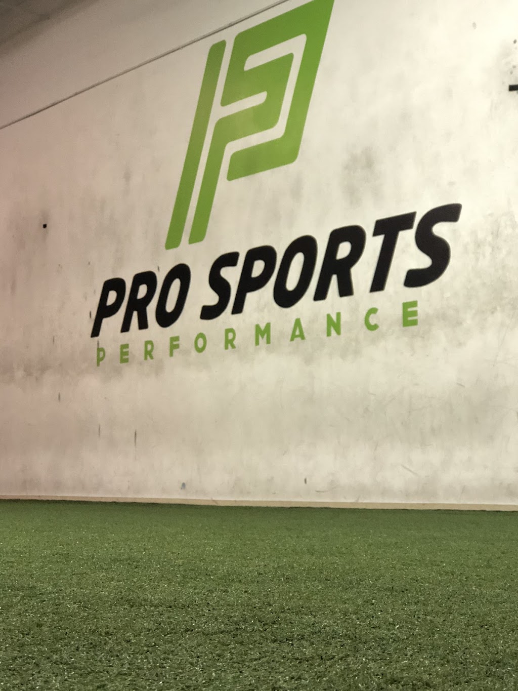 Pro Sports Performance | 11985 Prospect Rd, Strongsville, OH 44149, USA | Phone: (440) 334-1314