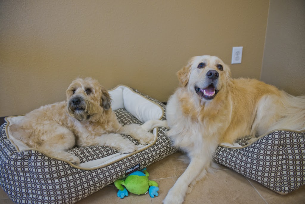 Grooming With Love | 29851 Aventura, Rancho Santa Margarita, CA 92688, USA | Phone: (949) 713-9357