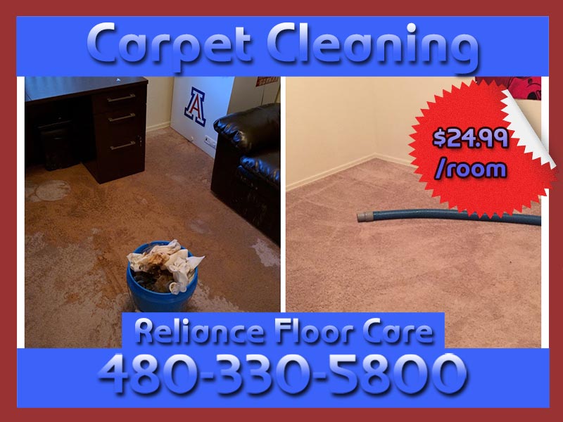 Reliance Carpet Cleaning | 11351 E Ramblewood Ave, Mesa, AZ 85212, USA | Phone: (480) 330-5800