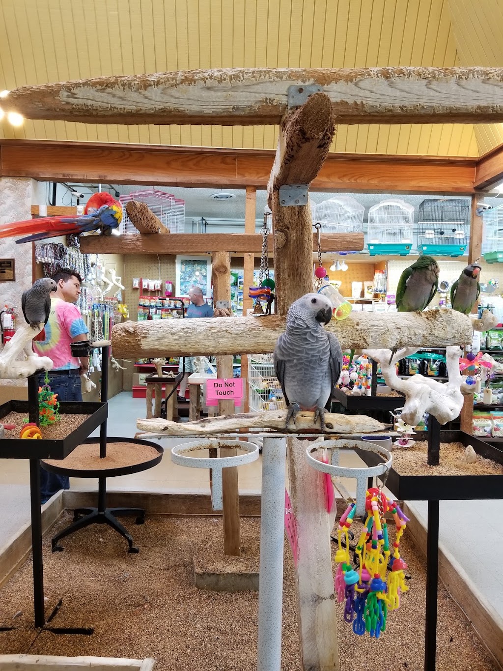 Kookaburra Bird Shop, LLC | 1845 E Frankford Rd, Carrollton, TX 75007, USA | Phone: (972) 492-0841