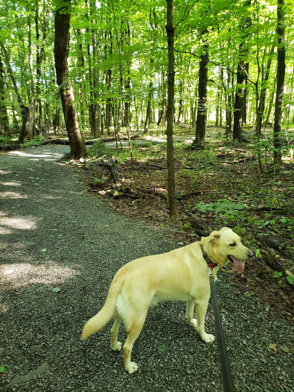 John B. Austin Nature Trail, Lockport | 6656-, 6822 Slayton Settlement Rd, Lockport, NY 14094, United States | Phone: (716) 439-9525