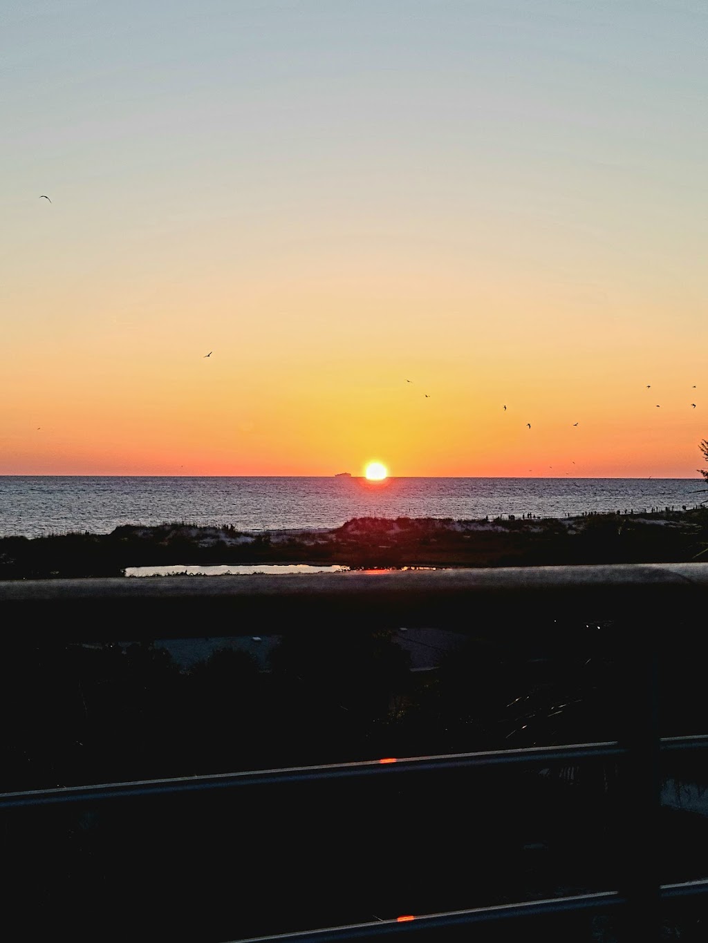 Anna Maria Island | 776 N Shore Dr, Anna Maria, FL 34216, USA | Phone: (615) 260-1299