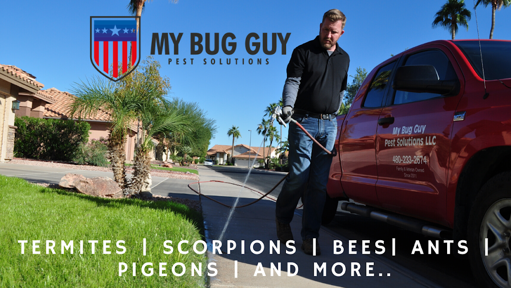 My Bug Guy Pest Solutions | 41410 N Bracewell St, San Tan Valley, AZ 85140, USA | Phone: (480) 210-5601