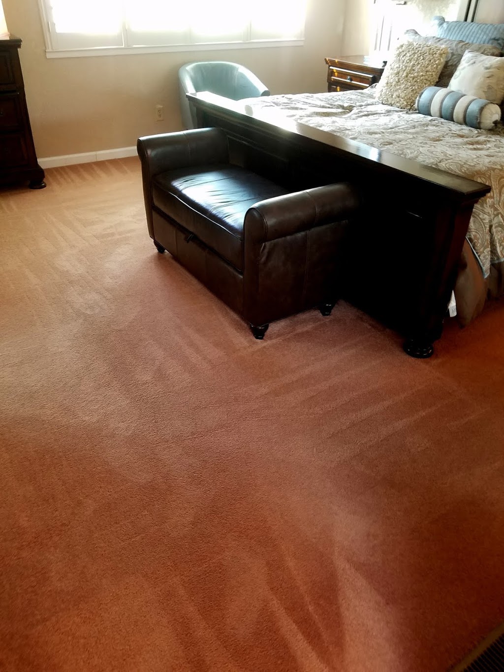 Zerorez San Jose - Bay Area Carpet Cleaning | 1775 S 1st St #44b, San Jose, CA 95112, USA | Phone: (877) 321-0739