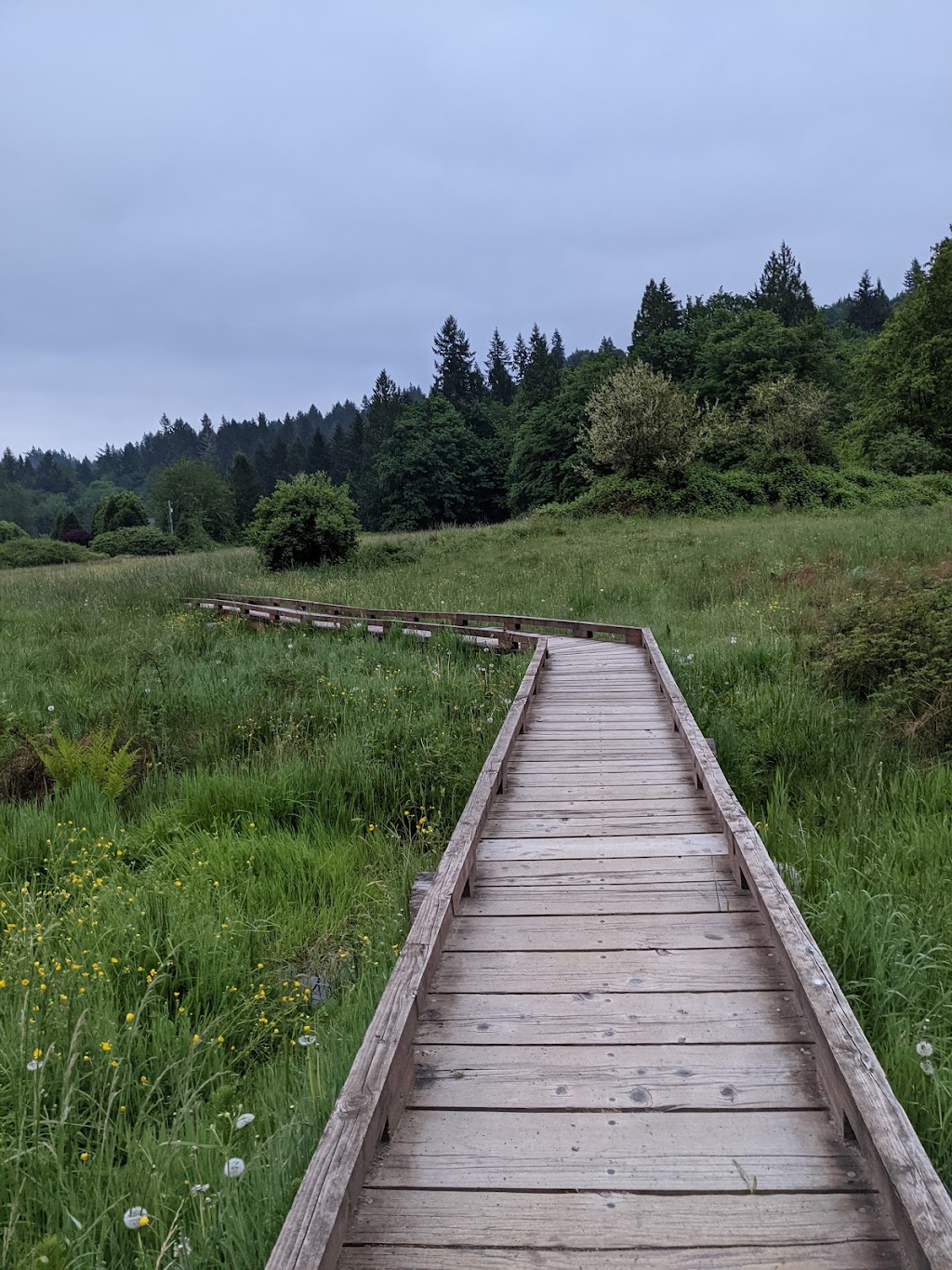 Evans Creek Preserve | 4001 224th Ave NE, Redmond, WA 98053, USA | Phone: (425) 295-0553