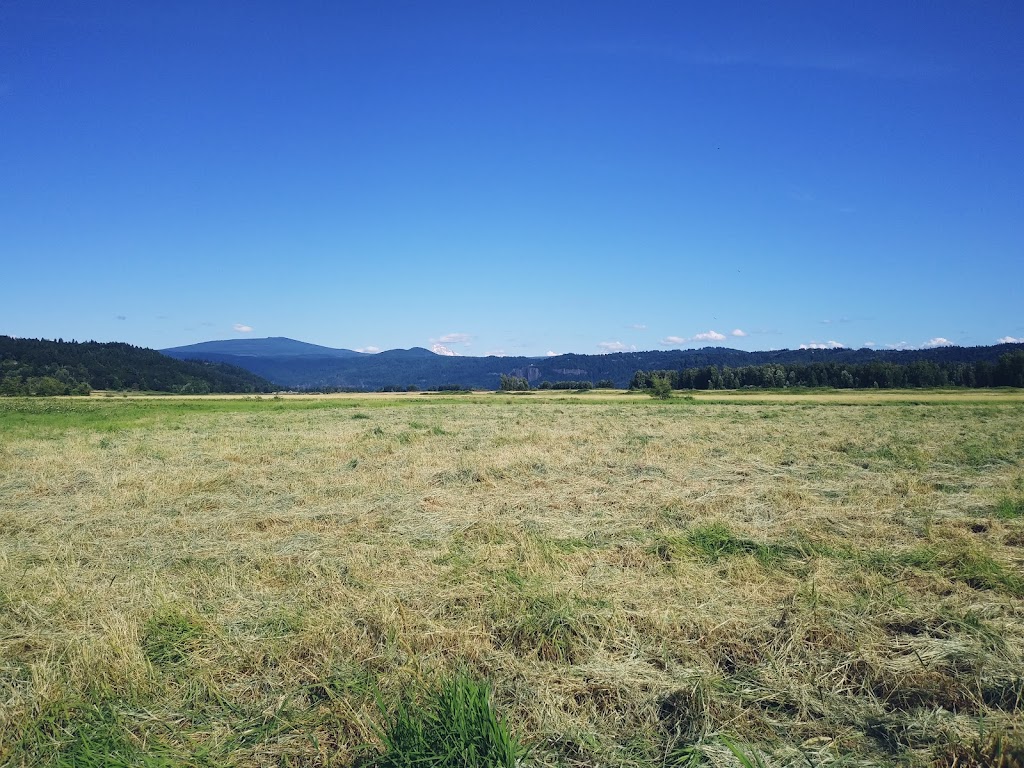 Steigerwald Lake National Wildlife Refuge Kiosk | Gibbons Creek Wildlife Art Trail, Washougal, WA 98671, USA | Phone: (580) 277-2510