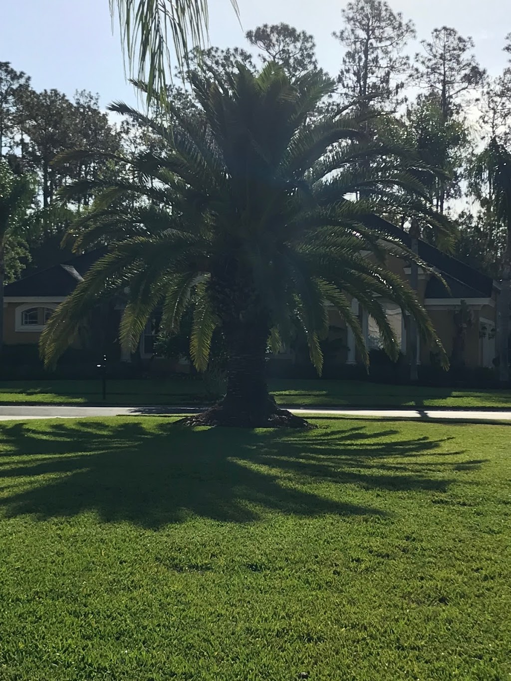 Benchmark Turf Management llc | 28747 Walker Dr, Wesley Chapel, FL 33544, USA | Phone: (813) 701-6999 Benchmark Turf Management llc | 28747 Walker Dr, Wesley Chapel, FL 33544, USA | Phone: (813) 701-6999