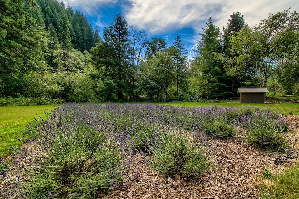 Angels Rest B&B and Lavender Farm | 141 River Glen Rd, Washougal, WA 98671, USA | Phone: (360) 837-3549