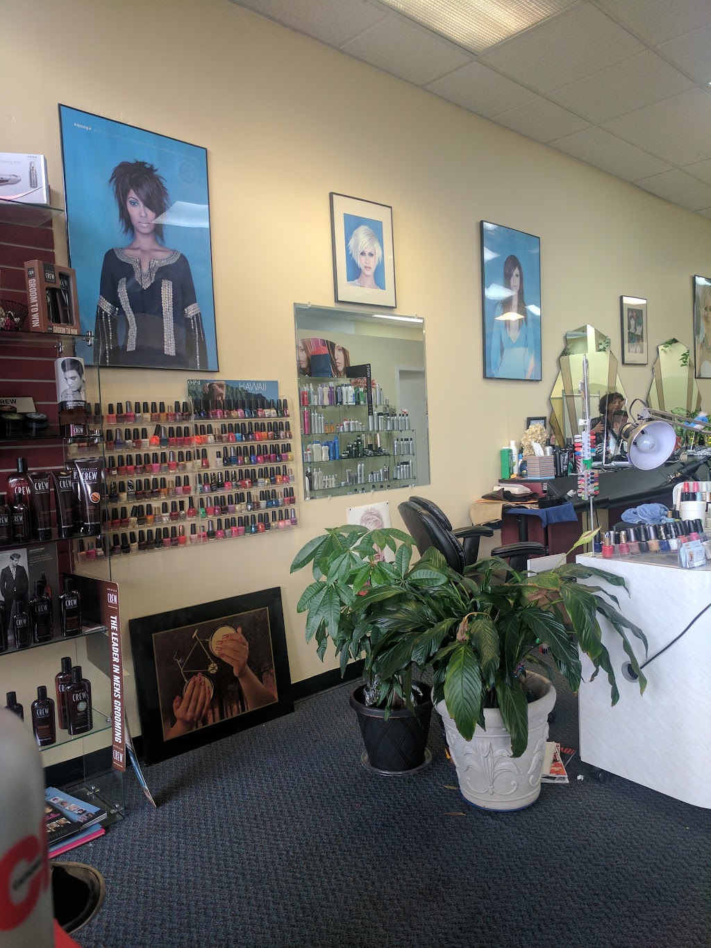 D D Styles | 2216 County Rd D West, St Paul, MN 55112, USA | Phone: (651) 633-1090