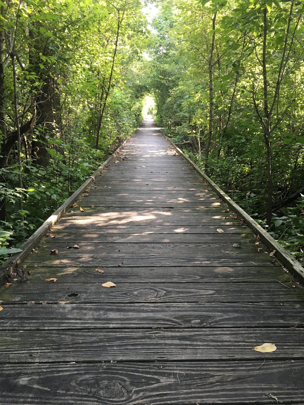 Siebenthaler Fen Boardwalk - Beavercreek Wildlife Area | 1998 Fairground Rd #1952, Dayton, OH 45434, USA | Phone: (937) 320-9042