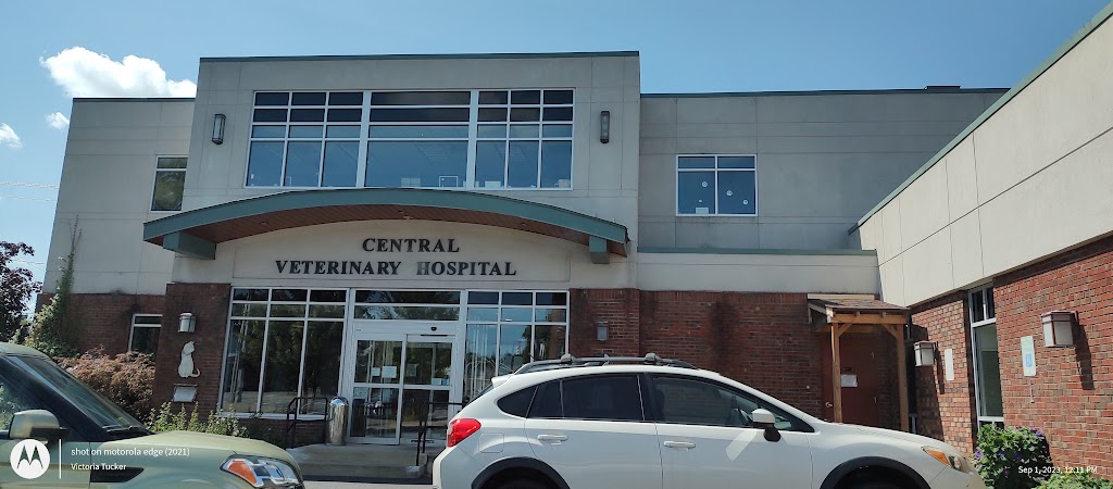 Central Veterinary Hospital | 388 Central Ave, Albany, NY 12206, USA | Phone: (518) 434-2115