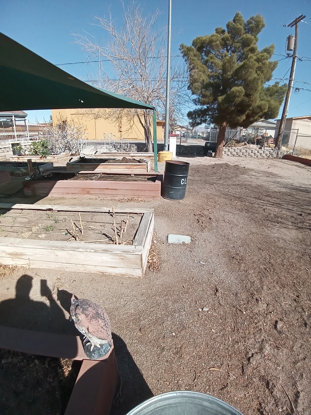 City of Las Vegas Community Garden | 1200 Blankenship Ave, Las Vegas, NV 89106, USA | Phone: (702) 229-6374