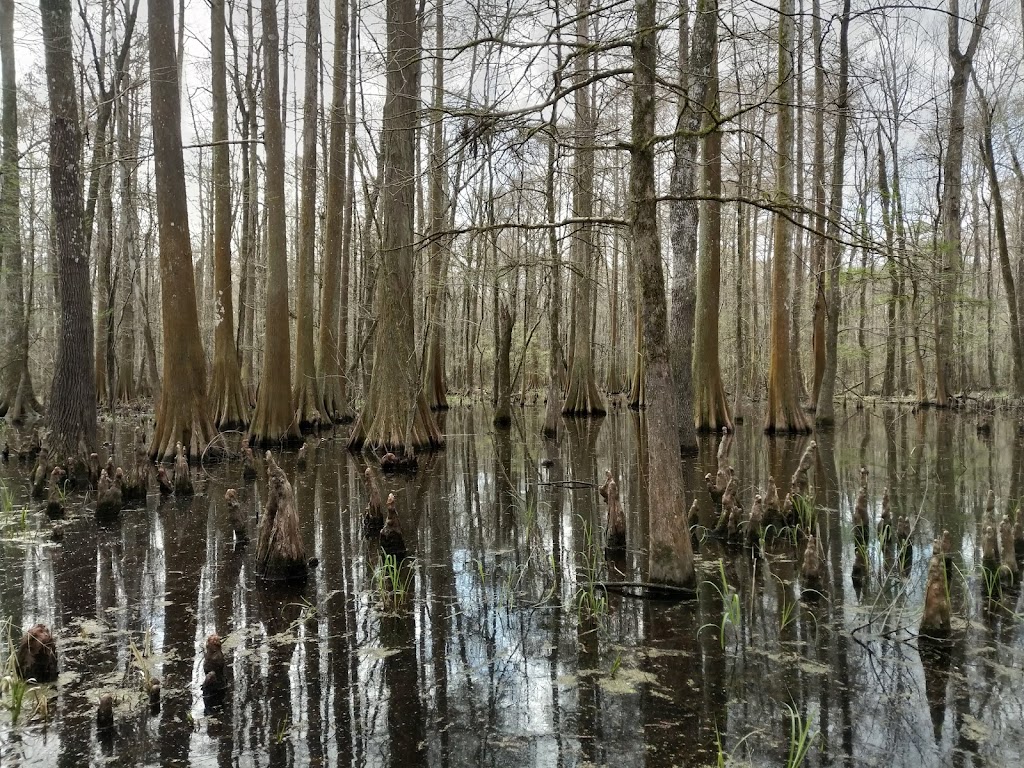 Atchafalaya National Wildlife Refuge | highway 190 & interstate 10, Lottie, LA 70756, USA | Phone: (985) 882-2000