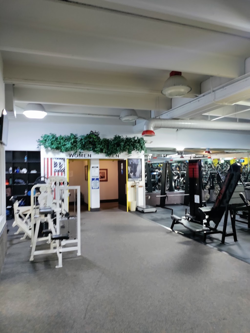 Athletic Factor Gym | 2301 W Sample Rd, Pompano Beach, FL 33073, USA | Phone: (954) 968-1930