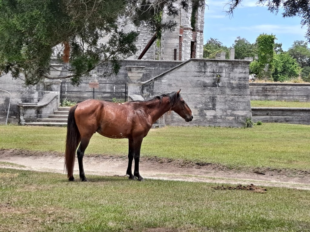 Dungeness Ruins | St Marys, GA 31558, USA | Phone: (912) 882-4336