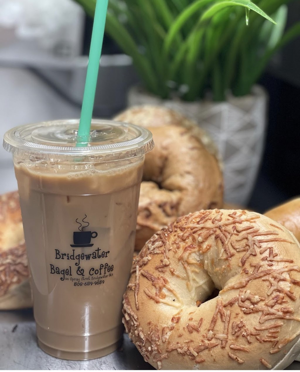 Bridgewater Bagel & Coffee | 86 Spring St, Bridgewater, MA 02324, USA | Phone: (508) 659-9659