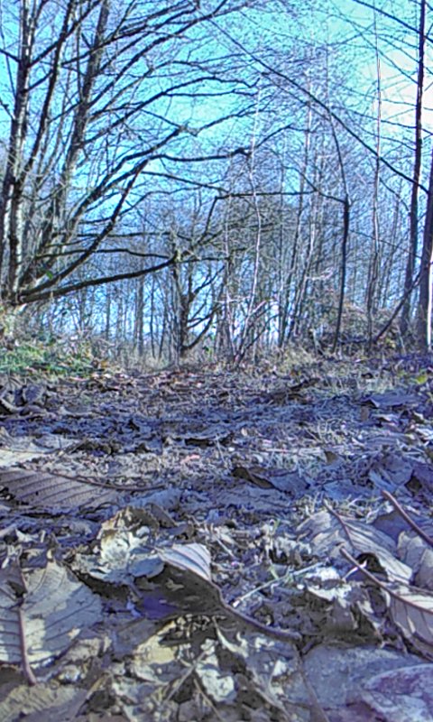 Auburndale II Park | 29700 118th Ave SE, Auburn, WA 98092, USA | Phone: (253) 931-3000