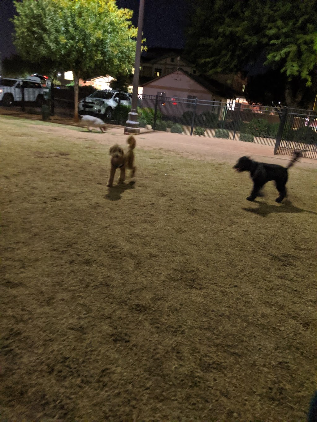Pocket Park for Pups | 22526 S Ellsworth Rd, Queen Creek, AZ 85142, USA | Phone: (480) 358-3770
