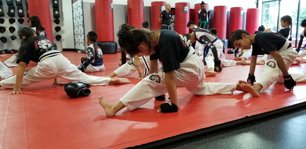 Tiger Schulmanns Martial Arts (Glendale, NY) | 73-25 Woodhaven Blvd, Queens, NY 11385, USA | Phone: (718) 301-0966