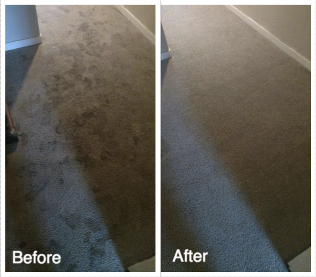 A Step Above Carpet Cleaning | 7405 Greenback Ln #220, Citrus Heights, CA 95610, USA | Phone: (916) 735-3182