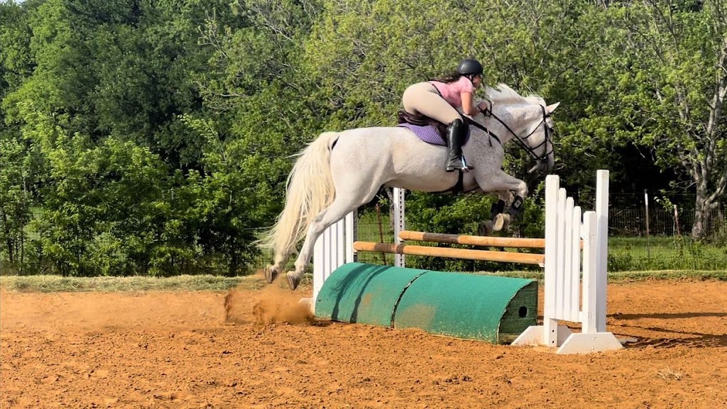 Lancaster Hill Stables | 8696 Co Rd 133, Celina, TX 75009, USA | Phone: (719) 353-7850