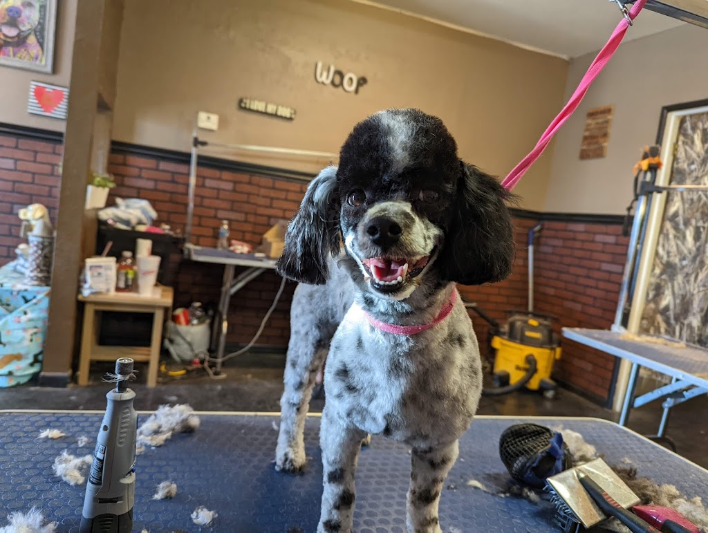 Country K-9 Grooming LLC | 240 S Main St, Coolidge, AZ 85128 | Phone: (480) 431-0355