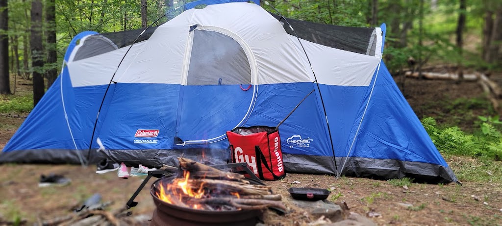 Waterfalls Campsite | 104 Waterfalls Dr, Middleburgh, NY 12122, USA | Phone: (518) 827-5794