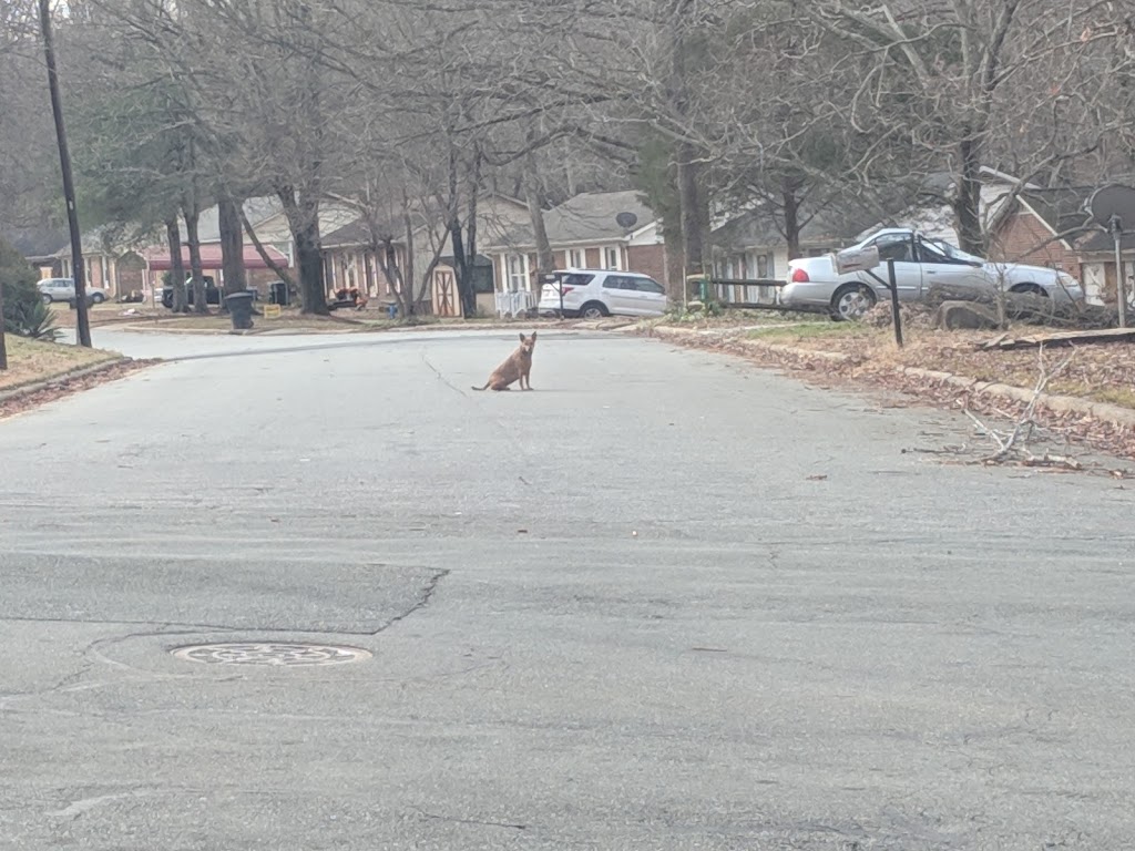 Town and Country Nature Park | 2999 Regent Park Ln, Burlington, NC 27217, USA | Phone: (336) 222-5030