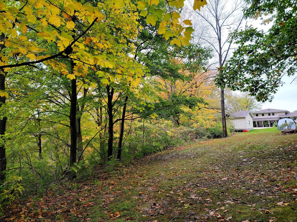 Ann Arbor Mennonite Guest Home | 2000 Dhu Varren Rd, Ann Arbor, MI 48105, USA | Phone: (734) 222-6233