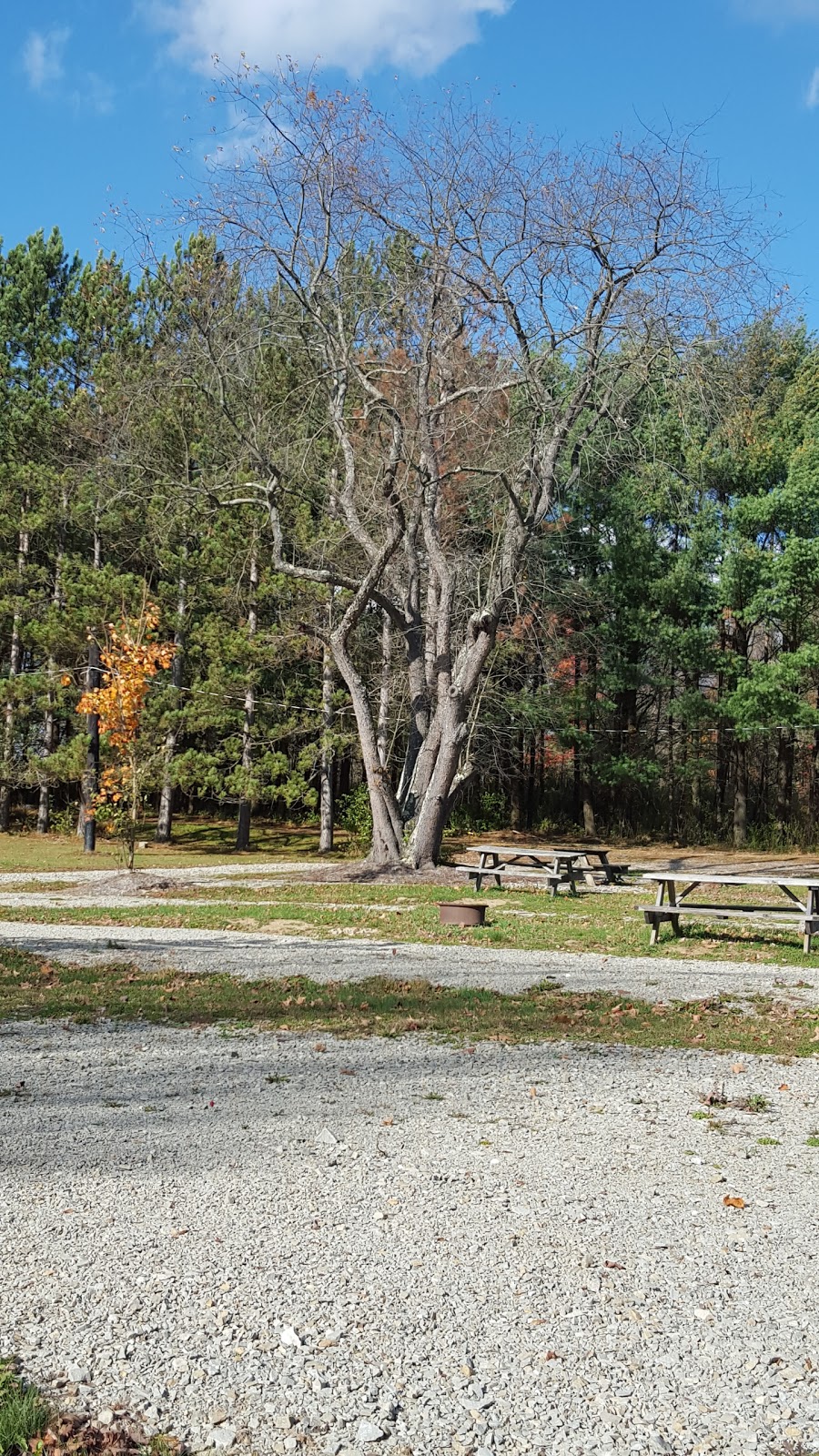 Lost Mountain Campground | 195 Lost Mountain Ln, Rockwood, PA 15557, USA | Phone: (814) 352-7310