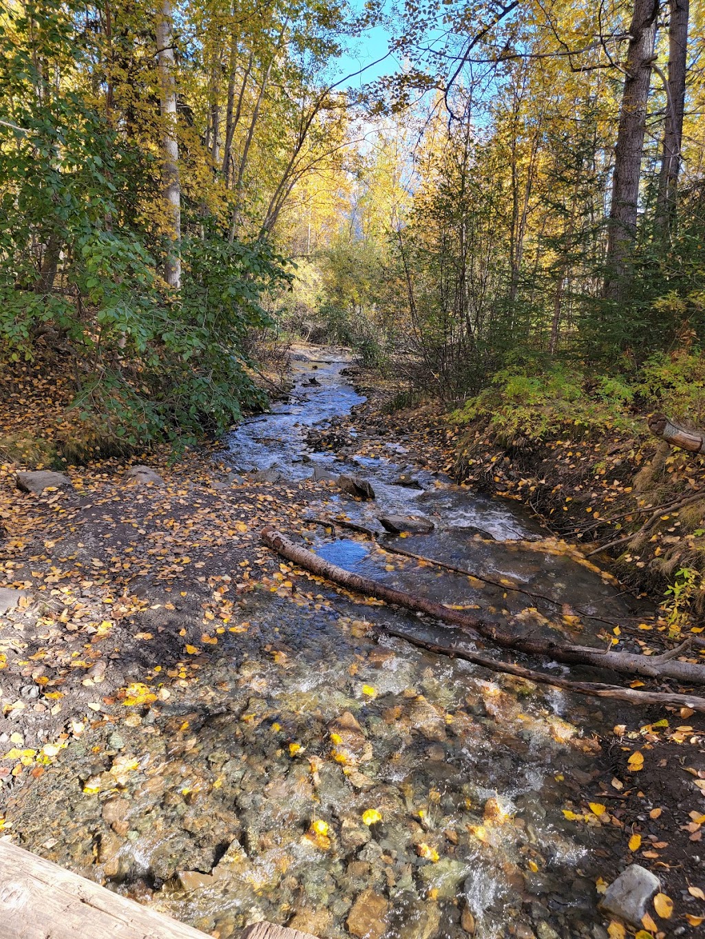 Lifetime Adventures | 39370 Eklutna Lake Rd, Chugiak, AK 99567, USA | Phone: (907) 746-4644