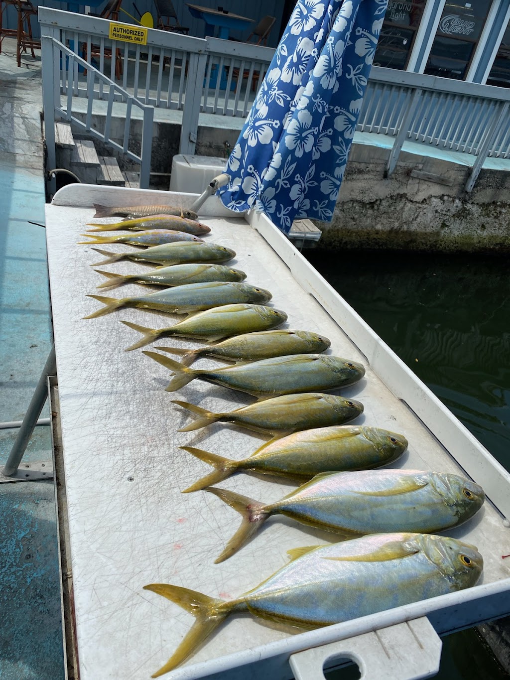 Scales 2 Tales Charters | 103900 Overseas Hwy, Key Largo, FL 33037, USA | Phone: (305) 522-3772