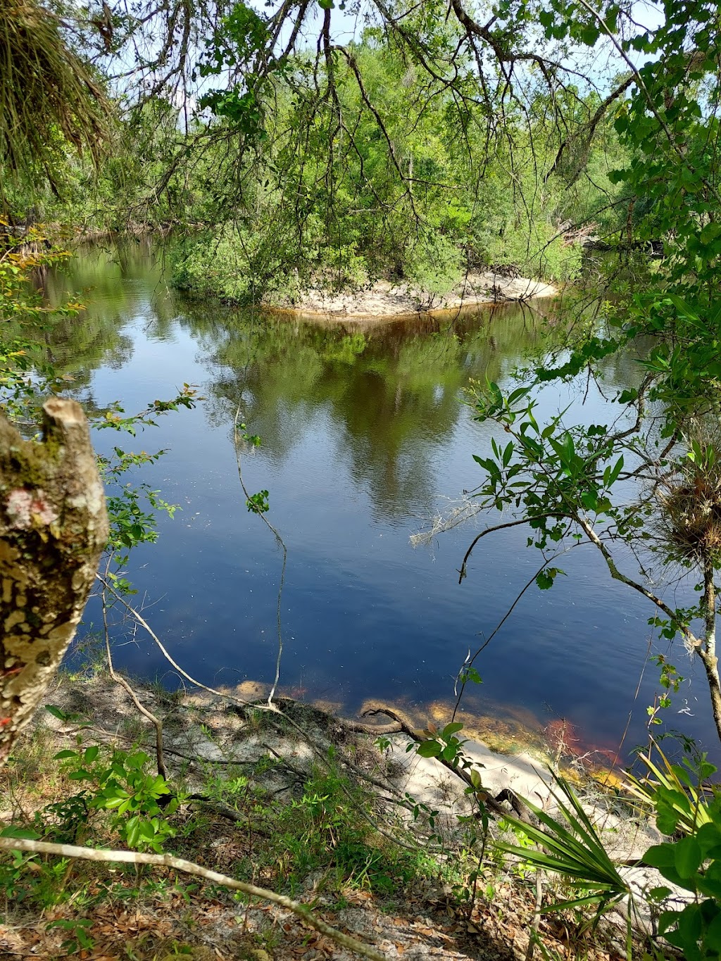 Cypress Glen Campground | 31475 Silver Lake Rd, Brooksville, FL 34602, USA | Phone: (352) 797-4140