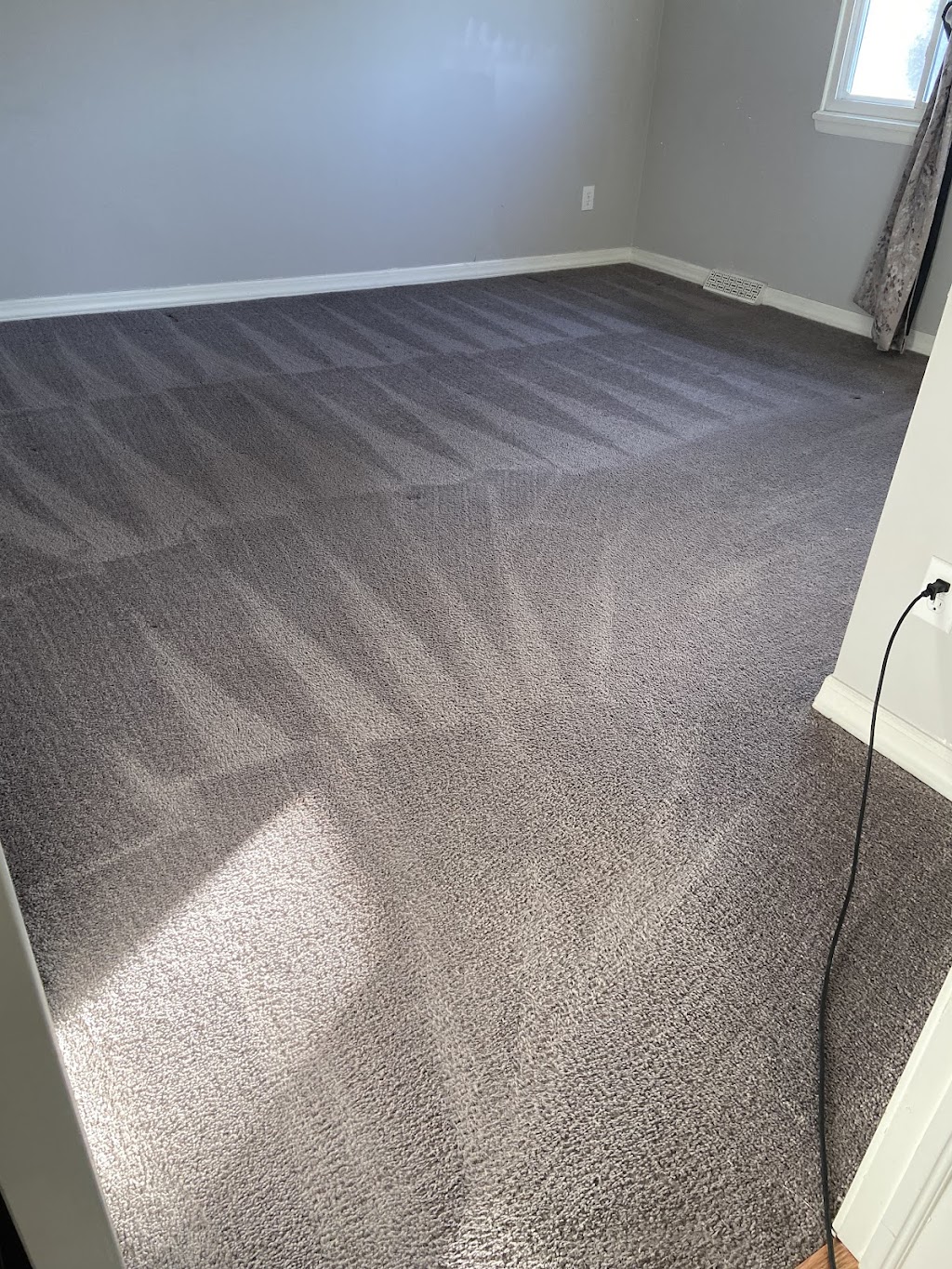 Wagner Carpet Cleaning | 10360 Main St, Clarence, NY 14031, USA | Phone: (716) 440-4905