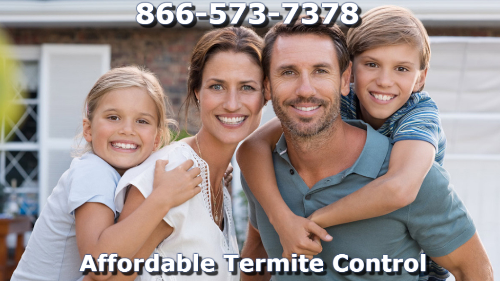 Affordable Termite Control In Huntington Beach | 18694 Applewood Dr, Huntington Beach, CA 92646, USA | Phone: (657) 213-3933