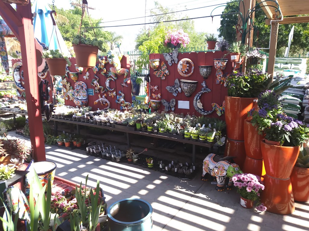 Armstrong Garden Centers | 5816 San Fernando Rd, Glendale, CA 91202, USA | Phone: (818) 243-4227