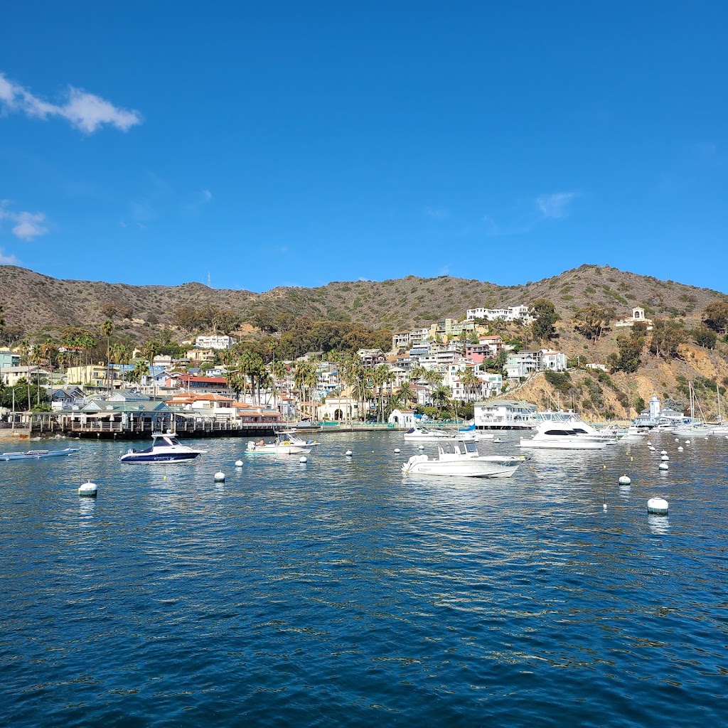 Catalina Island Visitor Center | 1 Green Pleasure Pier, Avalon, CA 90704, USA | Phone: (310) 510-1520