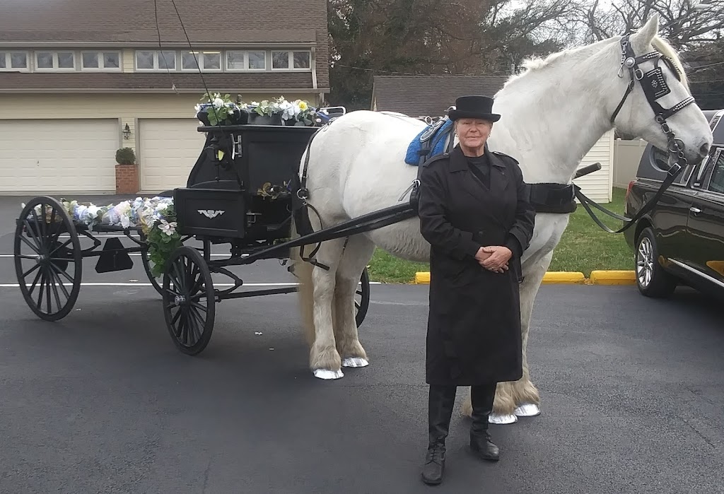 Smithfield Horse and Carriage, LTD. | 29, Smithfield, VA 23431, USA | Phone: (757) 635-9963