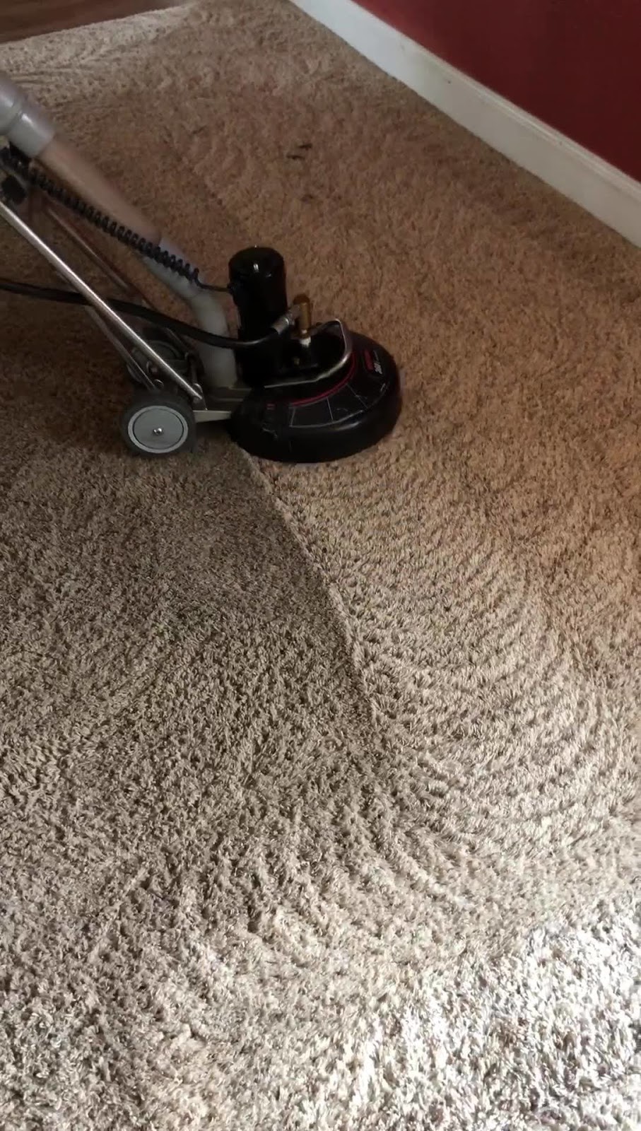 JQ Carpet Cleaning | 9655 River Rd NE, Salem, OR 97303, USA | Phone: (971) 272-4210