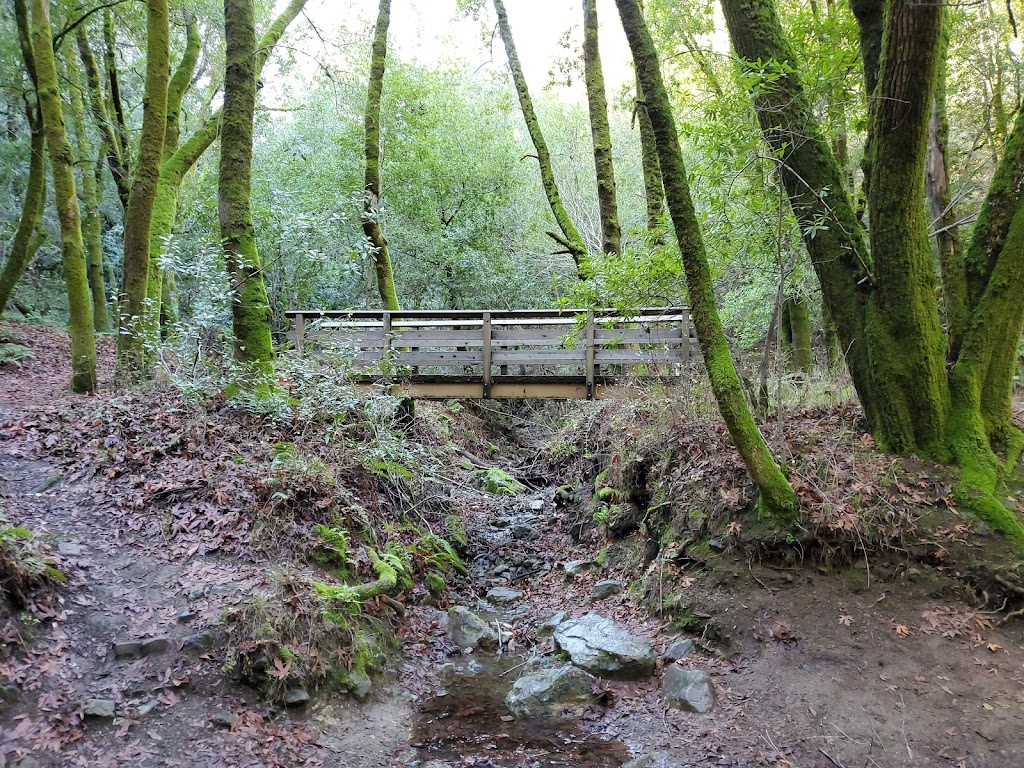 Hidden Villa Hiking Trails | 26870 Moody Rd, Los Altos Hills, CA 94022 | Phone: (650) 949-8650