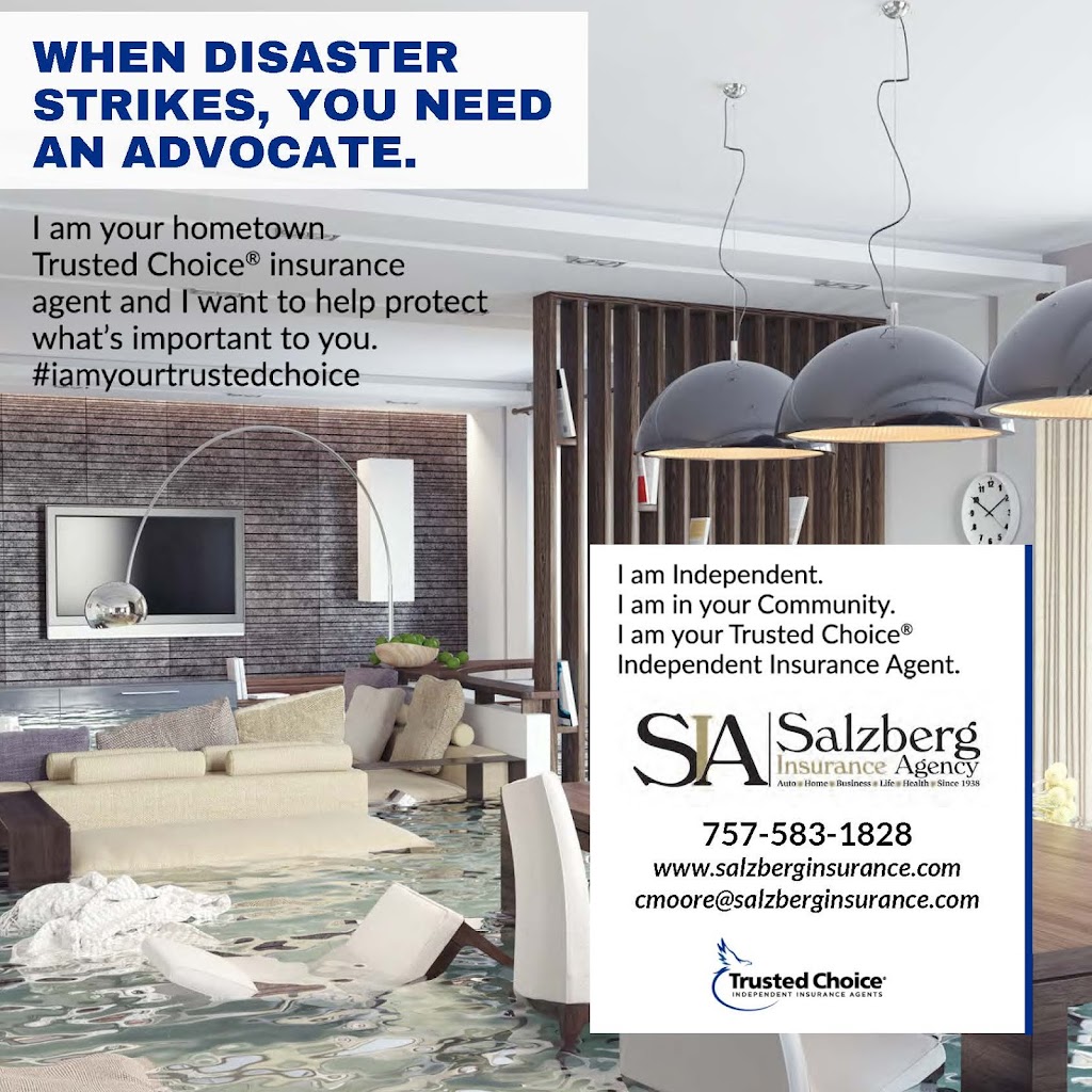 Salzberg Insurance Agency | 249 E Little Creek Rd, Norfolk, VA 23505, USA | Phone: (757) 583-1828