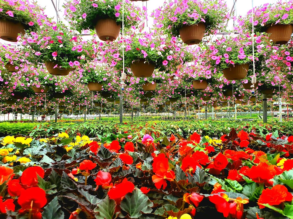 Blooming Acres Inc. | 7561 State Rd, Wadsworth, OH 44281, USA | Phone: (330) 336-1410